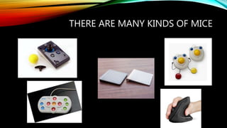 THERE ARE MANY KINDS OF MICE
 