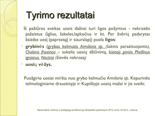 Tyrimo rezultatai
 Iš pažiūros sveikas uosis dažnai turi ligos požymius - nekrozės
  pažeistus ūglius, šakeles,lapkočius ir kt. Per žvėrių padarytas
  žaizdas uosį (paprastąjį ir siauralapį) puola ligos:
• grybinė s (grybas kelmutis Armilaria sp. (šaknis parazituojantis),
  Chalara fraxinea – sukelia uosių džiūvimą, kietoji pintis Phellinus
  igniarus, Nectria (žievės nekrozę)
• uosių vė žys.


 Puožgirio uosiai miršta nuo grybo kelmučio Armilaria sp. Kepurinės
  telmologiniame draustinyje ir Kupiškyje uosių mažai ir jie sveiki.




        Nacionalinė mokinių ir pedagogų konferencija Mokyklinė aplinkotyra 2012, kovo 19-30 d., Lietuva
 