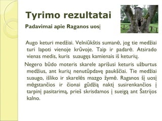 Tyrimo rezultatai
Padavimai apie Raganos uosį

Augo keturi medžiai. Velniūkštis sumanė, jog tie medžiai
 turi lapoti vienoje krūvoje. Taip ir padarė. Atsirado
 vienas medis, kuris suaugęs kamienais iš keturių.
Negero būdo moteris skarele aprišusi keturis užburtus
 medžius, ant kurių nenutūpdavę paukščiai. Tie medžiai
 suaugo, išliko ir skarelės mazgo žymė. Raganos šį uosį
 mėgstančios ir čionai gūdžią naktį susirenkančios į
 tarpinį pasitarimą, prieš skrisdamos į sueigą ant Šatrijos
 kalno.
 