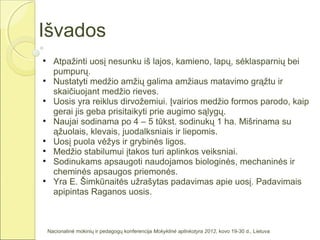 Išvados

      Atpažinti uosį nesunku iš lajos, kamieno, lapų, sėklasparnių bei
      pumpurų.

      Nustatyti medžio amžių galima amžiaus matavimo grąžtu ir
      skaičiuojant medžio rieves.

      Uosis yra reiklus dirvožemiui. Įvairios medžio formos parodo, kaip
      gerai jis geba prisitaikyti prie augimo sąlygų.

      Naujai sodinama po 4 – 5 tūkst. sodinukų 1 ha. Mišrinama su
      ąžuolais, klevais, juodalksniais ir liepomis.

      Uosį puola vėžys ir grybinės ligos.

      Medžio stabilumui įtakos turi aplinkos veiksniai.

      Sodinukams apsaugoti naudojamos biologinės, mechaninės ir
      cheminės apsaugos priemonės.

      Yra E. Šimkūnaitės užrašytas padavimas apie uosį. Padavimais
      apipintas Raganos uosis.



    Nacionalinė mokinių ir pedagogų konferencija Mokyklinė aplinkotyra 2012, kovo 19-30 d., Lietuva
 
