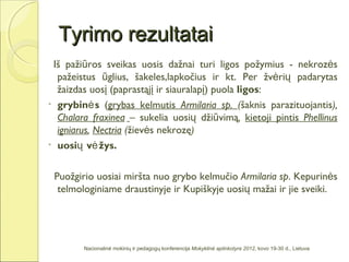 Tyrimo rezultatai
 Iš pažiūros sveikas uosis dažnai turi ligos požymius - nekrozės
  pažeistus ūglius, šakeles,lapkočius ir kt. Per žvėrių padarytas
  žaizdas uosį (paprastąjį ir siauralapį) puola ligos:
• grybinė s (grybas kelmutis Armilaria sp. (šaknis parazituojantis),
  Chalara fraxinea – sukelia uosių džiūvimą, kietoji pintis Phellinus
  igniarus, Nectria (žievės nekrozę)
• uosių vė žys.


 Puožgirio uosiai miršta nuo grybo kelmučio Armilaria sp. Kepurinės
  telmologiniame draustinyje ir Kupiškyje uosių mažai ir jie sveiki.




        Nacionalinė mokinių ir pedagogų konferencija Mokyklinė aplinkotyra 2012, kovo 19-30 d., Lietuva
 