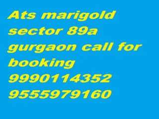 9990114352**Ats Mari Gold Main Dwarka Expressway Gurgaon