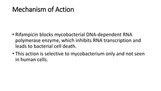 Mechanism of Action
• Rifampicin blocks mycobacterial DNA-dependent RNA
polymerase enzyme, which inhibits RNA transcription and
leads to bacterial cell death.
• This action is selective to mycobacterium only and not seen
in human cells.
 