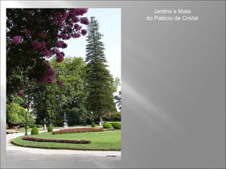 Jardins e Mata do Palácio de Cristal 