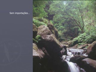 Sem importações… 
 