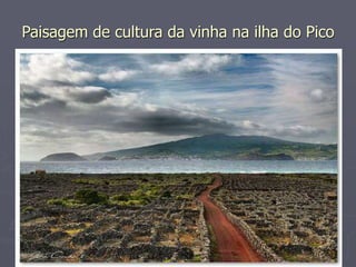 Paisagem de cultura da vinha na ilha do Pico 
 