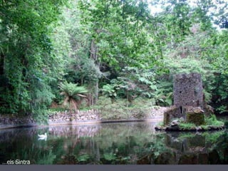 …eis Sintra 
 
