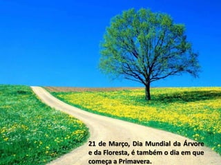 21 de Março, Dia Mundial da Árvore
e da Floresta, é também o dia em que
começa a Primavera.
 