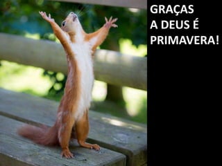 GRAÇAS
A DEUS É
PRIMAVERA!
 