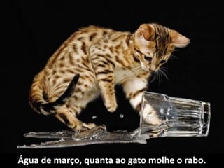 Água de março, quanta ao gato molhe o rabo.
 