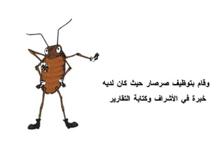 وقام بتوظيف صرصار حيث كان لديه خبرة في الأشراف وكتابة التقارير  