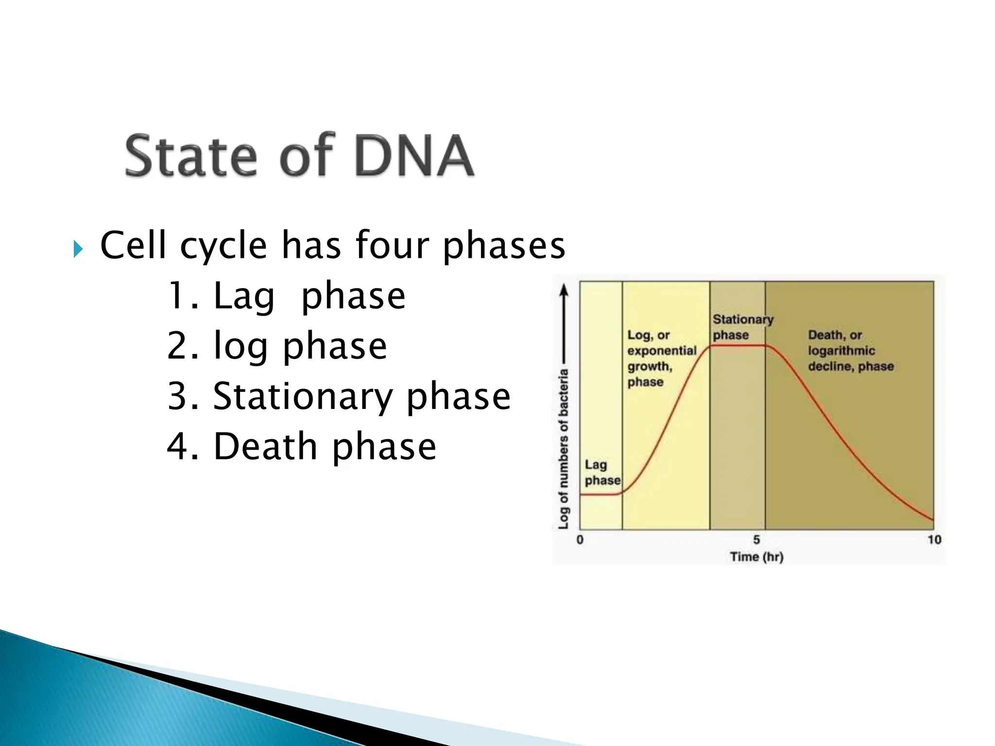 DNA Extraction by phenol-choloroform Method | PDF