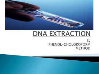 DNA Extraction by phenol-choloroform Method | PDF