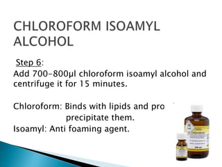 DNA Extraction by phenol-choloroform Method | PDF