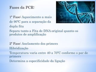 Fases da PCR:
1ª Fase: Aquecimento a mais
de 90ºC para a separação da
dupla fita
Separa tanto a Fita de DNA original quanto os
produtos de amplificação
2ª Fase: Anelamento dos primers
Hibridização
Temperatura varia entre 40 a 70ºC conforme o par de
primers
Determina a especificidade da ligação
 