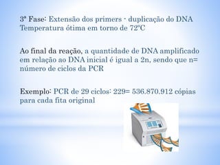 3ª Fase: Extensão dos primers - duplicação do DNA
Temperatura ótima em torno de 72ºC
Ao final da reação, a quantidade de DNA amplificado
em relação ao DNA inicial é igual a 2n, sendo que n=
número de ciclos da PCR
Exemplo: PCR de 29 ciclos: 229= 536.870.912 cópias
para cada fita original
 
