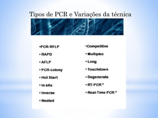 Tipos de PCR e Variações da técnica
 