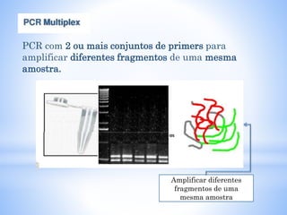 PCR com 2 ou mais conjuntos de primers para
amplificar diferentes fragmentos de uma mesma
amostra.
Amplificar diferentes
fragmentos de uma
mesma amostra
 