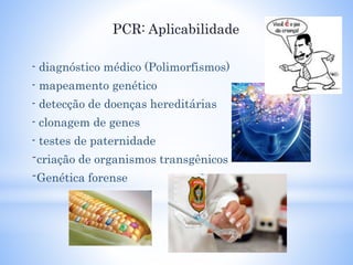 PCR: Aplicabilidade
- diagnóstico médico (Polimorfismos)
- mapeamento genético
- detecção de doenças hereditárias
- clonagem de genes
- testes de paternidade
-criação de organismos transgênicos
-Genética forense
 