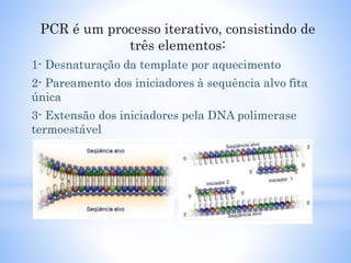 PCR é um processo iterativo, consistindo de
três elementos:
1- Desnaturação da template por aquecimento
2- Pareamento dos iniciadores à sequência alvo fita
única
3- Extensão dos iniciadores pela DNA polimerase
termoestável
 