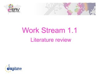 18
Work Stream 1.1
Literature review
 