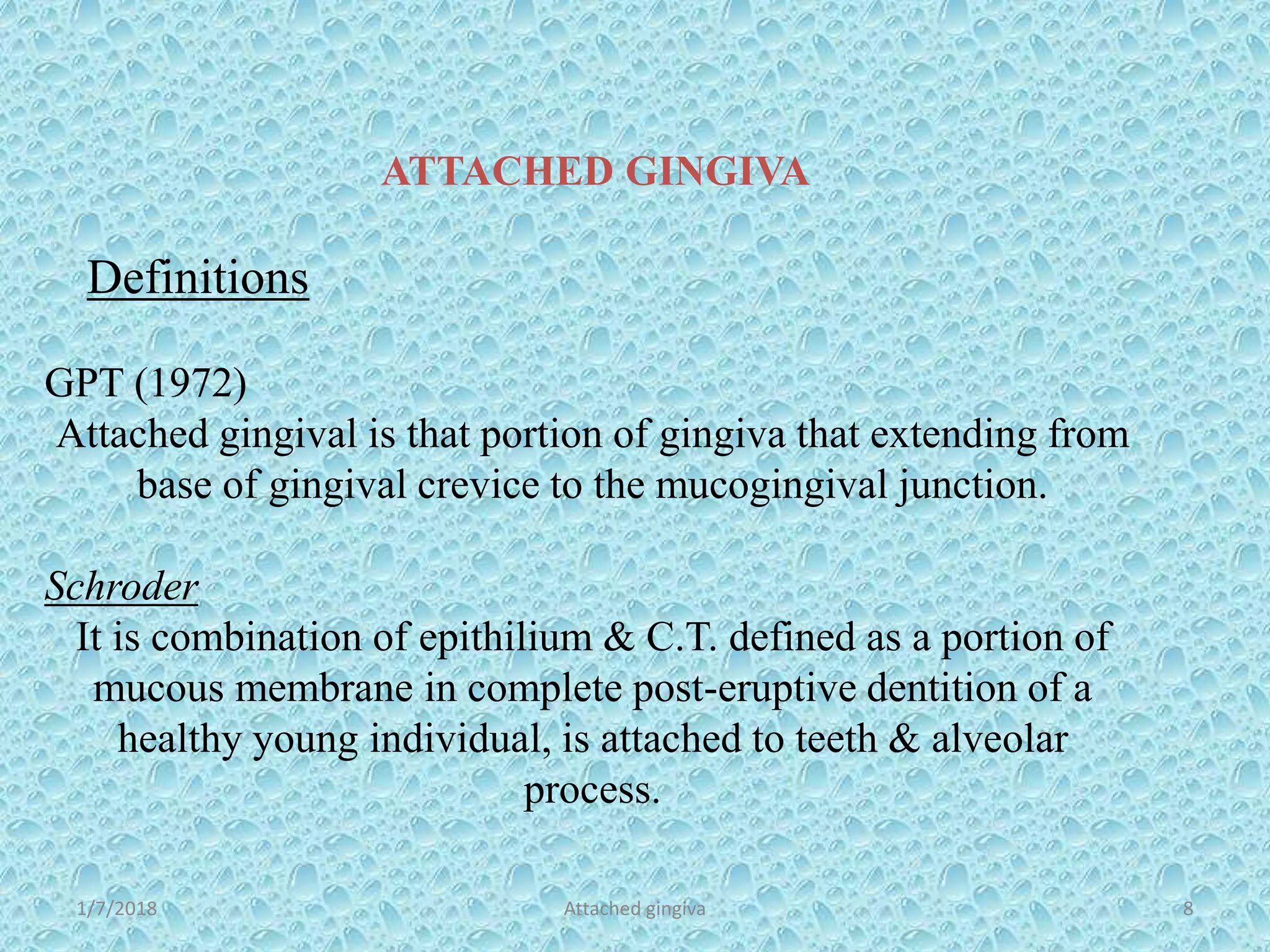 ATTACHED GINGIVA