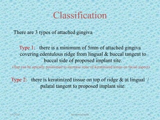 Classification
There are 3 types of attached gingiva
Type 1: there is a minimum of 5mm of attached gingiva
covering edentulous ridge from lingual & buccal tangent to
buccal side of proposed implant site.
(flap can be apically positioned to increase zone of keratinized tissue on facial aspect)
Type 2: there is keratinized tissue on top of ridge & at lingual /
palatal tangent to proposed implant site.
1/7/2018 Attached gingiva 12
 