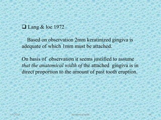 1/7/2018 Attached gingiva 18
 Lang & loe 1972
Based on observation 2mm keratinized gingiva is
adequate of which 1mm must be attached.
On basis of observation it seems justified to assume
that the anatomical width of the attached gingiva is in
direct proportion to the amount of past tooth eruption.
 