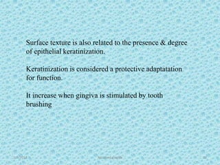 Surface texture is also related to the presence & degree
of epithelial keratinization.
Keratinization is considered a protective adaptatation
for function.
It increase when gingiva is stimulated by tooth
brushing
1/7/2018 Attached gingiva 32
 