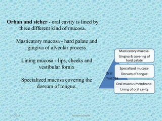 1/7/2018 Attached gingiva 4
Orban and sicher - oral cavity is lined by
three different kind of mucosa.
Masticatory mucosa - hard palate and
gingiva of alveolar process
Lining mucosa - lips, cheeks and
vestibular fornix
Specialized mucosa covering the
dorsum of tongue.
Masticatory mucosa-
Gingiva & covering of
hard palate
Specialized mucosa-
Dorsum of tongue
Oral mucous membrane-
Lining of oral cavity
Oral
mucosa
 