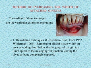 METHOD OF INCREASING THE WIDTH OF
ATTACHED GINGIVA
• The earliest of these technique
are the vestibular extension operations
– 1. Denudation techniques. (Ochsenbein 1960, Corn 1962,
Wilderman 1964) - Removal of all soft tissue within an
area extending from below the the gingival margin to a
3mm apical to the mucogingival junction leaving the
alveolar bone completely exposed.
1/7/2018 Attached gingiva 62
 