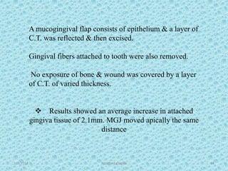 1/7/2018 Attached gingiva 64
A mucogingival flap consists of epithelium & a layer of
C.T. was reflected & then excised.
Gingival fibers attached to tooth were also removed.
No exposure of bone & wound was covered by a layer
of C.T. of varied thickness.
 Results showed an average increase in attached
gingiva tissue of 2.1mm. MGJ moved apically the same
distance
 