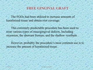 1/7/2018 Attached gingiva 66
The FGGs had been utilized to increase amounts of
keratinized tissue and obtain root coverage.
This extremely predictable procedure has been used to
treat various types of mucogingival defects, Including
recession, the aberrant frenum, and the shallow vestibule.
However, probably the procedure’s most common use is to
increase the amount of keratinized tissue.
FREE GINGIVAL GRAFT
 
