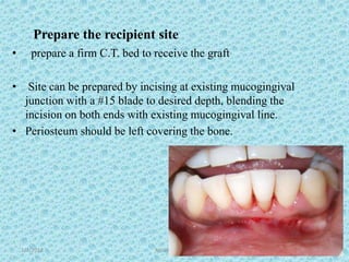 1/7/2018 Attached gingiva 68
Prepare the recipient site
• prepare a firm C.T. bed to receive the graft
• Site can be prepared by incising at existing mucogingival
junction with a #15 blade to desired depth, blending the
incision on both ends with existing mucogingival line.
• Periosteum should be left covering the bone.
 