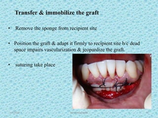 1/7/2018 Attached gingiva 72
Transfer & immobilize the graft
• Remove the sponge from recipient site
• Position the graft & adapt it firmly to recipient site b/c dead
space impairs vascularization & jeopardize the graft.
• suturing take place
 