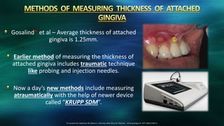 Gosalind* et al – Average thickness of attached
gingiva is 1.25mm.
Earlier method of measuring the thickness of
attached gingiva includes traumatic technique
like probing and injection needles.
Now a day’s new methods include measuring
atraumatically with the help of newer device
called “KRUPP SDM”.
23. Gosalind GD, Robertson PB, Mahan C J, Morrison WW, Olson JV. Thickness Of facial ginigva JP. 1977; 48(12):768-71.
 