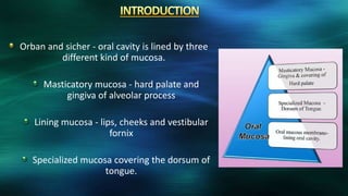 Orban and sicher - oral cavity is lined by three
different kind of mucosa.
Masticatory mucosa - hard palate and
gingiva of alveolar process
Lining mucosa - lips, cheeks and vestibular
fornix
Specialized mucosa covering the dorsum of
tongue.
 