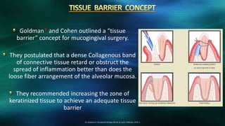 Goldman* and Cohen outlined a “tissue
barrier” concept for mucogingival surgery.
They postulated that a dense Collagenous band
of connective tissue retard or obstruct the
spread of inflammation better than does the
loose fiber arrangement of the alveolar mucosa.
They recommended increasing the zone of
keratinized tissue to achieve an adequate tissue
barrier
29. Goldman H. Periodontal therapy. 6th ed. St. Louis: CVMosby; 1979; 5.
 