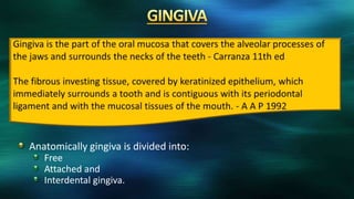 Anatomically gingiva is divided into:
Free
Attached and
Interdental gingiva.
 