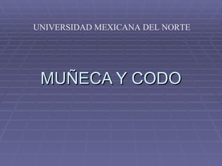 MUÑECA Y CODO UNIVERSIDAD MEXICANA DEL NORTE 