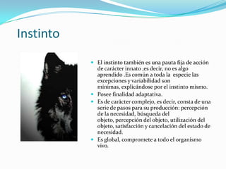 Instinto
            El instinto también es una pauta fija de acción
             de carácter innato ,es decir, no es algo
             aprendido .Es común a toda la especie las
             excepciones y variabilidad son
             mínimas, explicándose por el instinto mismo.
            Posee finalidad adaptativa.
            Es de carácter complejo, es decir, consta de una
             serie de pasos para su producción: percepción
             de la necesidad, búsqueda del
             objeto, percepción del objeto, utilización del
             objeto, satisfacción y cancelación del estado de
             necesidad.
            Es global, compromete a todo el organismo
             vivo.
 