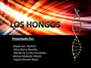 Presentado Por:

-Sheyla Asís Mantilla
- Alicia Berrio Mantilla
- Wendy De La Hoz Hernández
-Melissa Madiedo Villamil
- Angela Morales Mejía
 