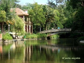 W parku miejskim
 