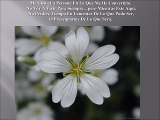 Me Gusta La Persona En La Que Me He Convertido.
No Voy A Vivir Para Siempre…pero Mientras Este Aquí,
 No Perderé Tiempo En Lamentar De Lo Que Pudo Ser,
           O Preocuparme De Lo Que Será.
 
