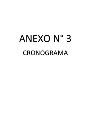 ANEXO N° 3 

CRONOGRAMA 

 