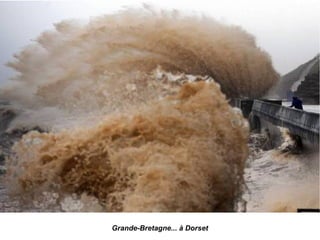 Grande-Bretagne... à Dorset
 