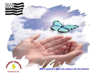 Merci spécial à tous les auteurs de ces photos
 