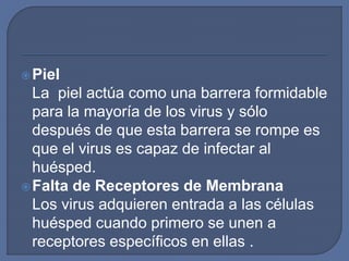Piel
La piel actúa como una barrera formidable
para la mayoría de los virus y sólo
después de que esta barrera se rompe es
que el virus es capaz de infectar al
huésped.
Falta de Receptores de Membrana
Los virus adquieren entrada a las células
huésped cuando primero se unen a
receptores específicos en ellas .
 