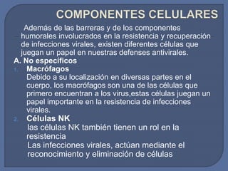 Además de las barreras y de los componentes
humorales involucrados en la resistencia y recuperación
de infecciones virales, existen diferentes células que
juegan un papel en nuestras defenses antivirales.
A. No específicos
1. Macrófagos
Debido a su localización en diversas partes en el
cuerpo, los macrófagos son una de las células que
primero encuentran a los virus,estas células juegan un
papel importante en la resistencia de infecciones
virales.
2. Células NK
las células NK también tienen un rol en la
resistencia
Las infecciones virales, actúan mediante el
reconocimiento y eliminación de células
 