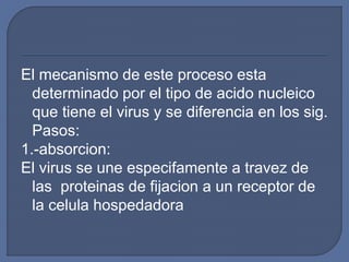 El mecanismo de este proceso esta
determinado por el tipo de acido nucleico
que tiene el virus y se diferencia en los sig.
Pasos:
1.-absorcion:
El virus se une especifamente a travez de
las proteinas de fijacion a un receptor de
la celula hospedadora
 